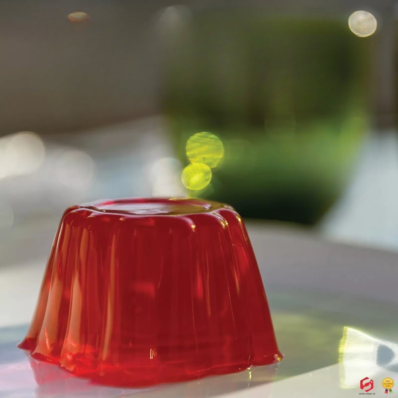 Pudding Cake Mold with Lid DIY - Baby Food Jelly recensie en prijs