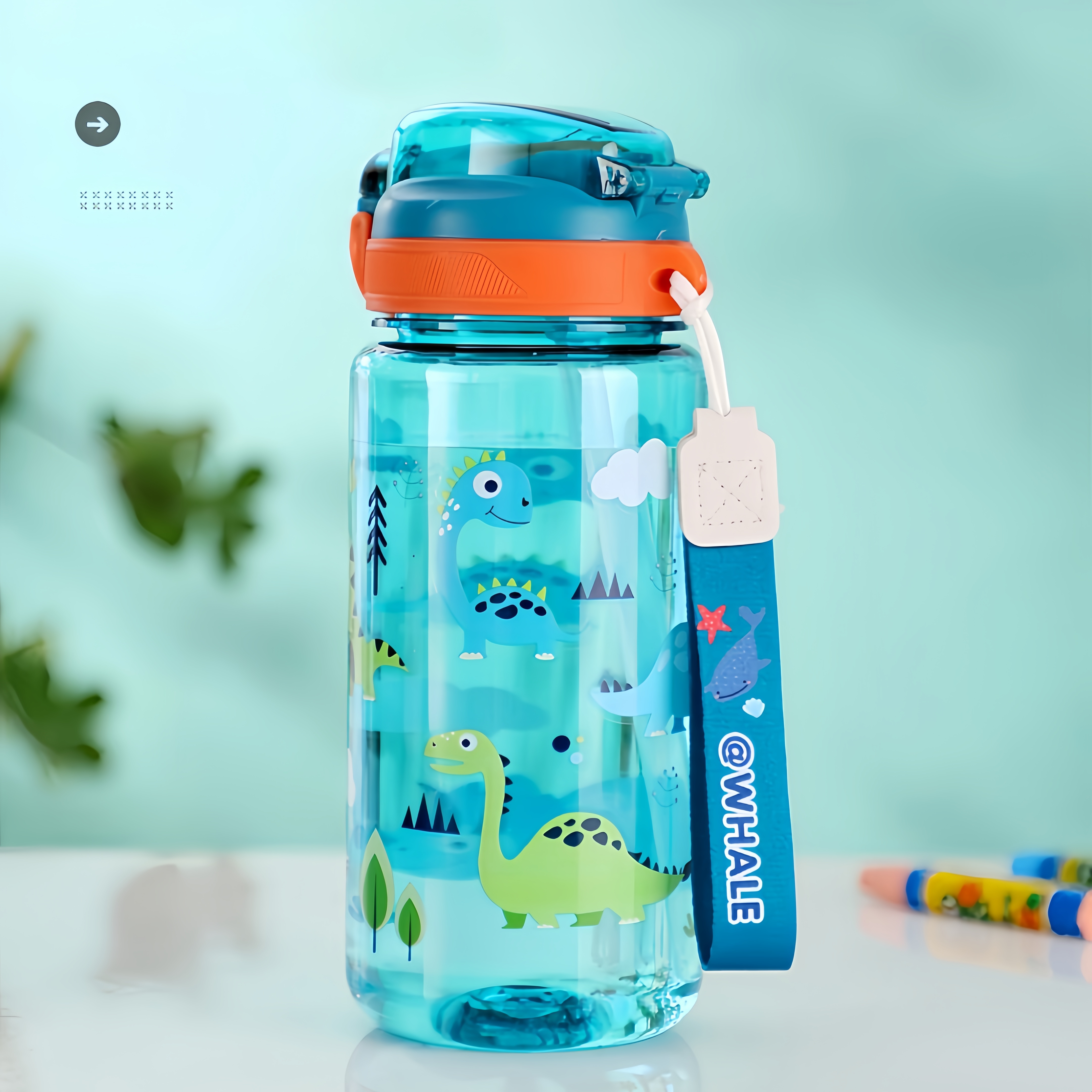 600ml Dinosaur Water Bottle Fo - Baby Food Hipp recensie en prijs