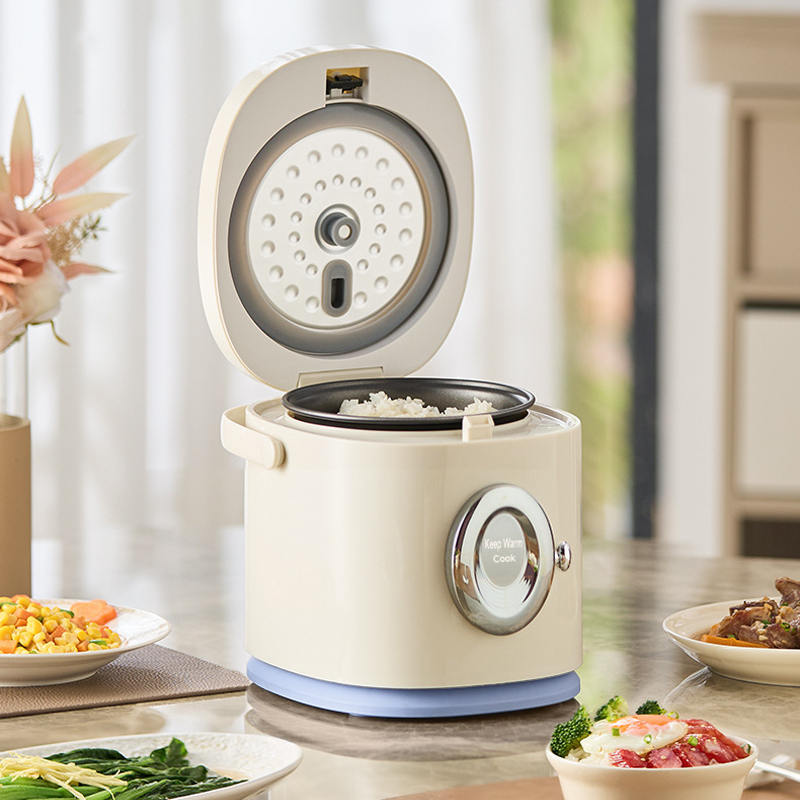 Electric Rice Cooker 1.2L Mini - Baby Rice Food recensie en prijs