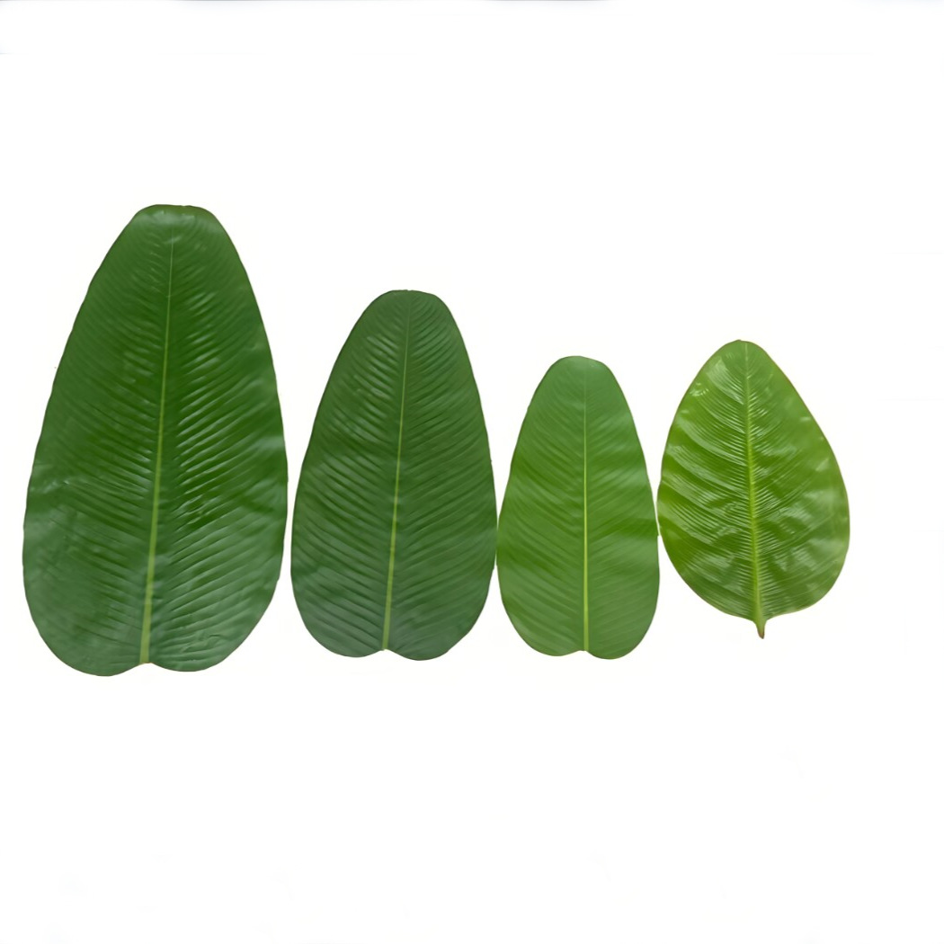 Banana Leaf Dining Table Hotel - Baby Food Banana recensie en prijs